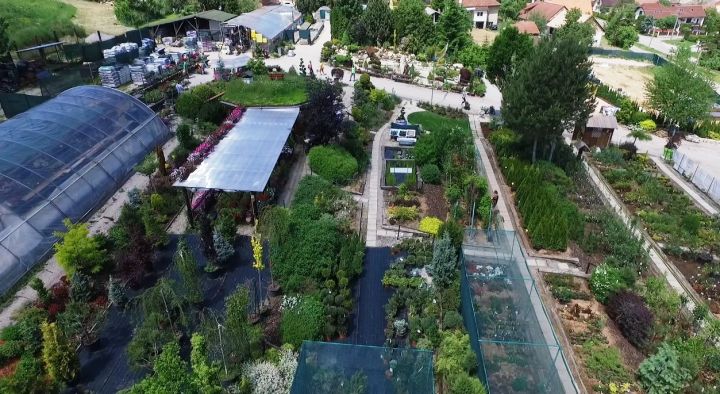 Široká ponuka pre sezónu 2020 | Muškát - záhradné centrum Lieskovany